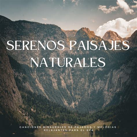 Tranquila Serenidad En El Spa Naturaleza Y Sonidos De P Jaros Spa De