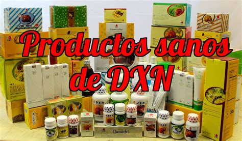 Ganoderma En Espa A Un Experto Sobre Los Beneficios Del Ganoderma V Deo