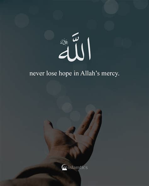 Never Lose Hope In Allah’s Mercy Islamtics