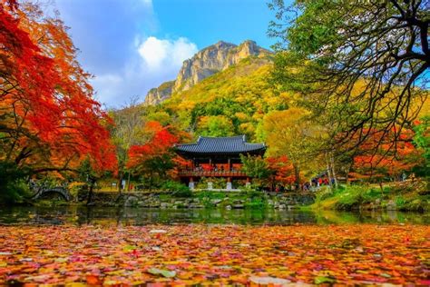 12 Destinasi Wisata Musim Gugur Di Korea Selatan