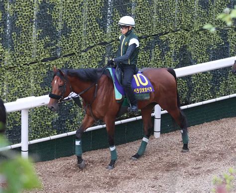 【宝塚記念】ベラジオオペラ 逃げも選択肢に 横山和に託す― スポニチ Sponichi Annex ギャンブル