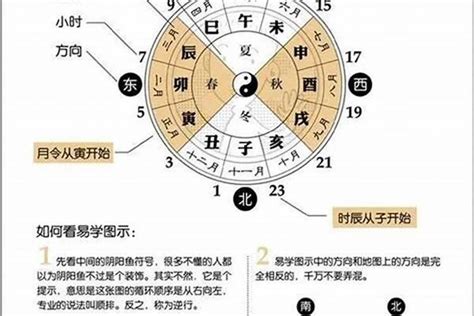 生辰八字怎么看啊？八字看子女最准的方法是什么 八字 若朴堂文化