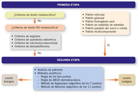 Dermatoscopia Para Pediatras Pediatr A Integral