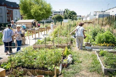 Agriculture Urbaine Agriculture Urbaine Jardinage Urbain Agriculture