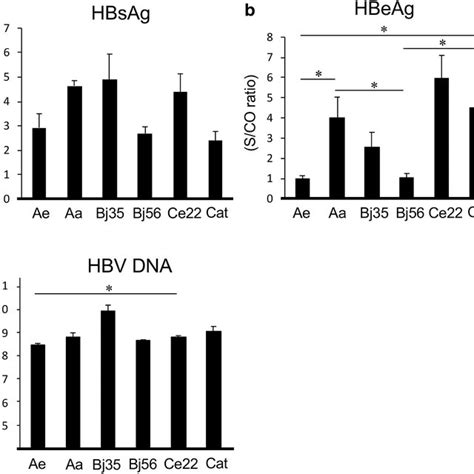 Levels Of Hbsag Hbeag And Hbv Dna In The Culture Supernatant After Download Scientific