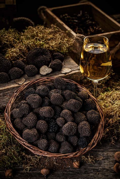 Black Truffle Mushroom Stock Image Colourbox