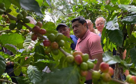 Gobierno De El Salvador Proteger M S De Manzanas De Cultivos De