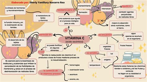 Mapa Mental Vitamina C Pdf Porn Sex Picture