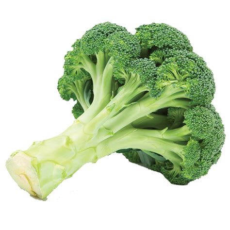 Broccoli Large 500gr Vivre Gourmet