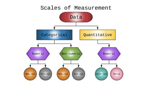 Chapter 1 Data And Statistics Flashcards Quizlet