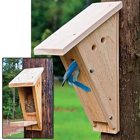 Where To Position A Nesting Box