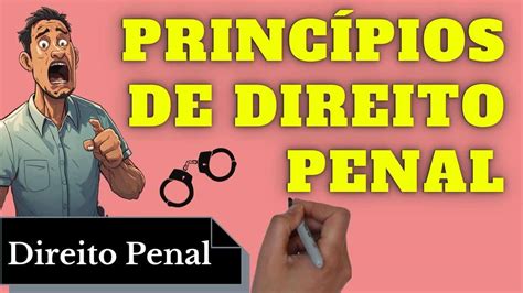 Princípios de Direito Penal Resumo Completo Atualizado