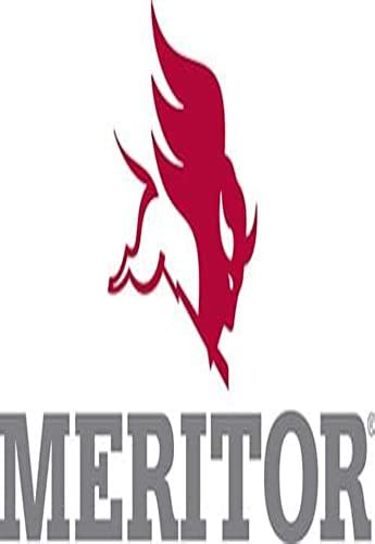 Buying Guide Meritor King Pin Kit R201482