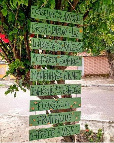 Placa Conselhos De Uma Arvore Em Ripas Em Madeira Pinus No Elo