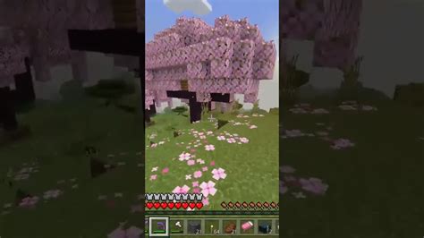 マイクラ マインクラフト Minecraft 桜バイオーム マイクラ（minecraft）動画まとめ