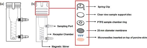 Schematic of the Franz diffusion experimental setup: ( a ) vertical ...