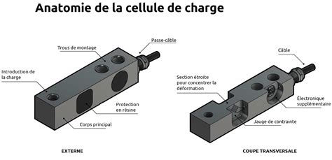 Qu Est Ce Qu Une Cellule De Charge Et Comment Fonctionne T Elle