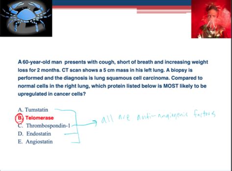 Neoplasia V Exam Flashcards Quizlet