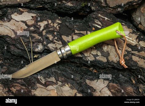 Farmers Knife For Harvesting In The Field Stock Photo Alamy