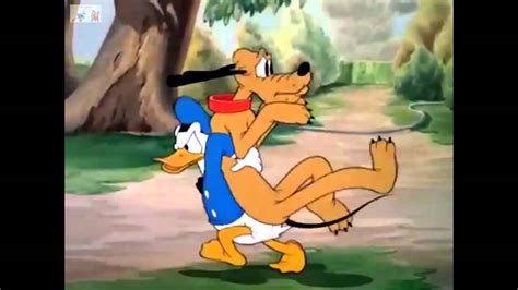 Donald Duck El Pato Donald Cartoons Chip And Dale Pluto Youtube