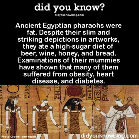 Ancient Egypt Pharaohs Facts