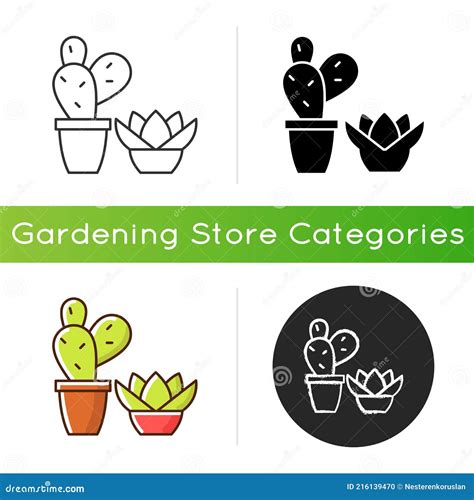 Succulents And Cacti Icon Stock Vector Illustration Of Botany 216139470