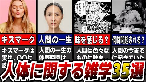 【雑学】意外と知らないためになる人体に関するおもしろい雑学35選！ Youtube