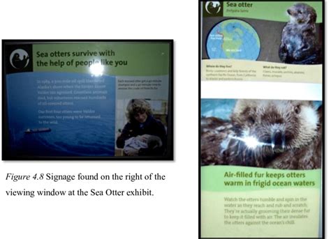 7 Sea Otters exhibit at Aquarium 1. | Download Scientific Diagram