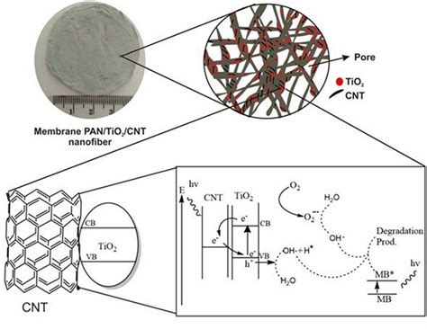 Proposed photocatalytic mechanism of the photocatalytic membrane of... | Download Scientific Diagram