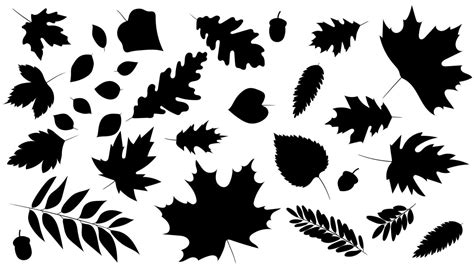 Autumn Leaves Silhouette Vector Art, Icons, and Graphics for Free Download