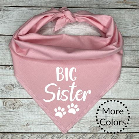 Shop Big Sister Dog Shirt Online Etsy