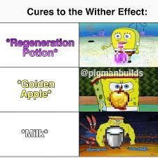 Cures to the Wither Effect! : r/MinecraftMemes