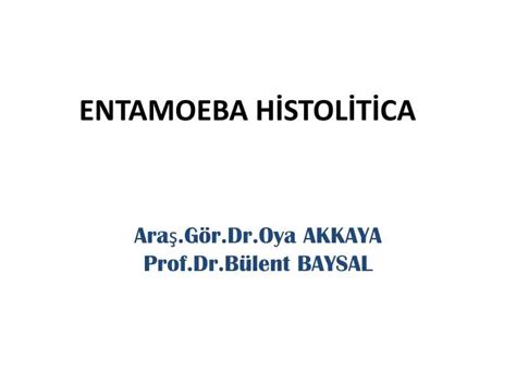 Ppt Entamoeba Hİstolİtİca Powerpoint Presentation Free Download Id932719