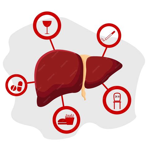 Premium Vector Factors Affecting Liver Health Vector Illustration Love Your Liver Awareness