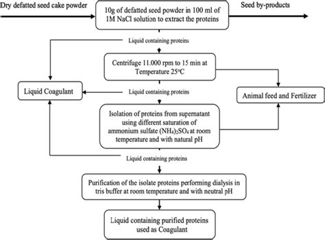 Seeds Functional Protein Extraction Process Download Scientific Diagram