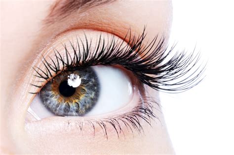 Eyelash Extensions – The Lanes Health & Beauty