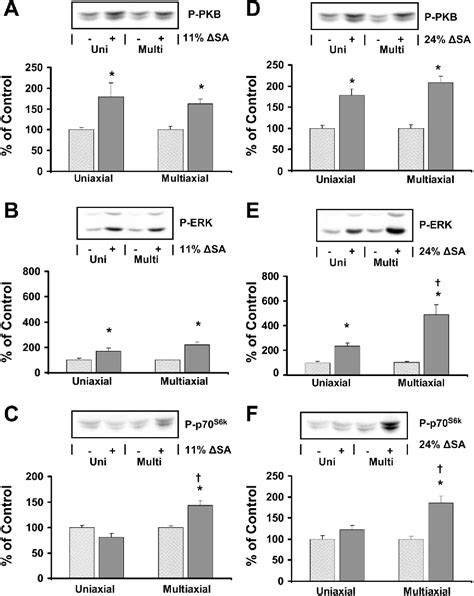 Figure From Intracellular Signaling Specificity In Response To