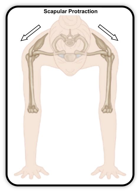 Protraction