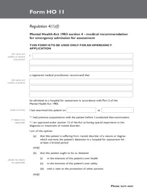 Fillable Online MENTAL HEALTH FORM HO 11 Fax Email Print PdfFiller