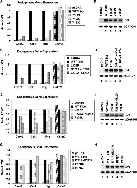 Coordinated But Physically Separable Interaction With H K Demethylase