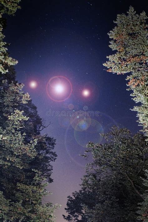 Ufo Concept Glowing Orbs Of Light Floating Though A Spooky Forest