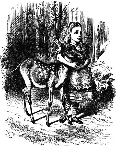 Sir John Tenniel Through The Looking Glass Illustrations Alice In Wonderland Cartoon Alice In