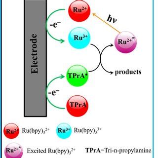 Schematic Illustration Of The Ecl Emission By Rubrene Molecule Via