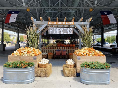 9 North Texas Pumpkin Patches To Visit This Fall D Magazine