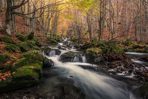 K K Great Smoky Mountains National Park Usa Parks Forests