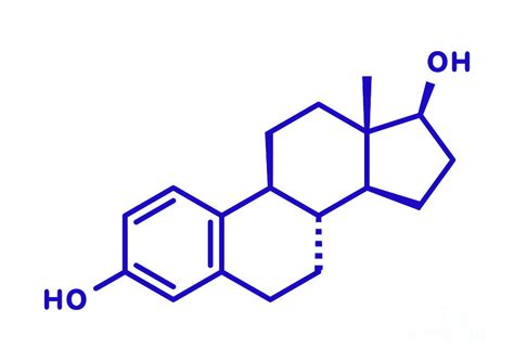 Estradiol Female Sex Hormone Molecule Photograph By Molekuul Science