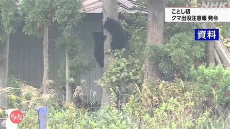 県が今年初のクマ出没注意報 ホームページに目撃マップ掲載｜nhk 山形県のニュース