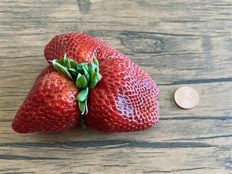 This Strawberry 🍓 R Absoluteunits