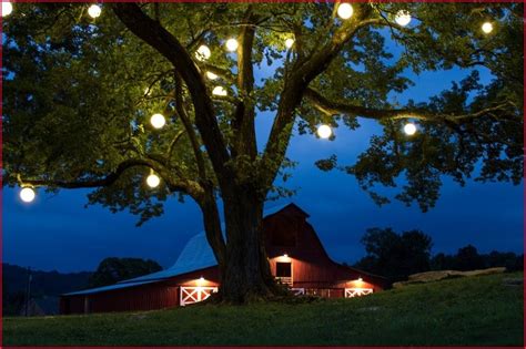 10 Best Outdoor Hanging Tree Lights