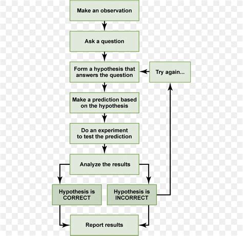 Scientific Method Flow Chart Worksheet